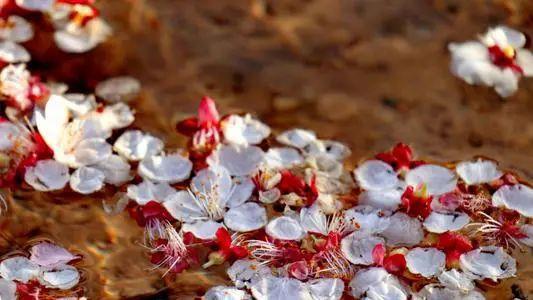 五月在线观看,热门影片盘点与推荐