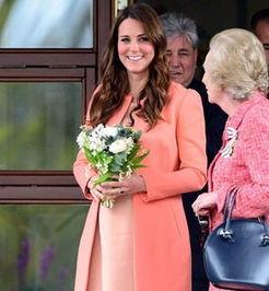 香港爆料凯特王妃妈妈视频,凯特王妃妈妈视频引发热议