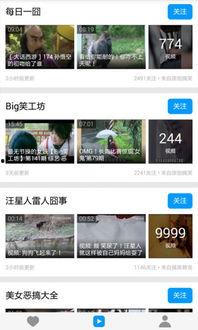 爆料好玩视频下载安装最新版,好玩视频下载神器，最新版安装攻略大公开！